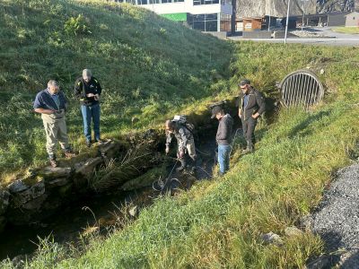 Habitatkurs med Kambestad