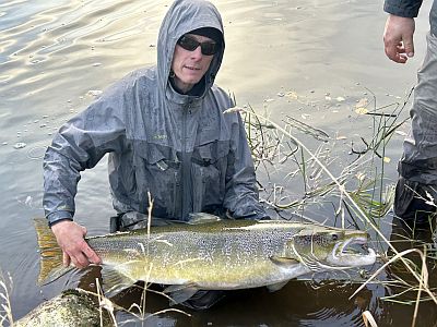 Endre med 12kg fettfinnefri